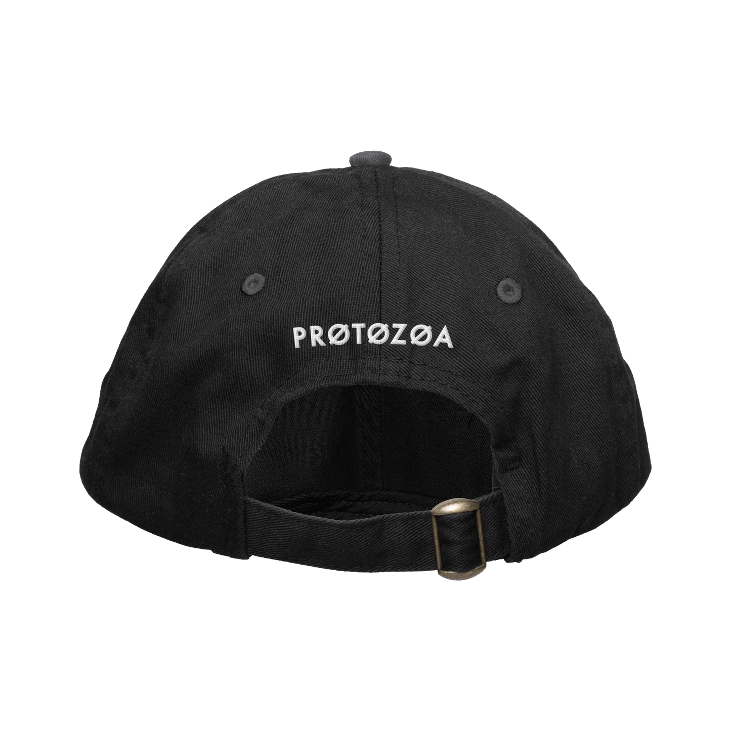 Protozoa Dad Hat